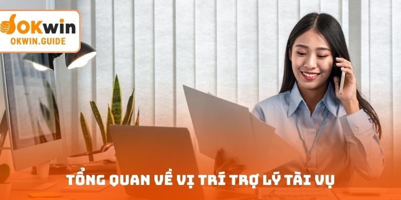 Tổng quan về vị trí trợ lý tài vụ